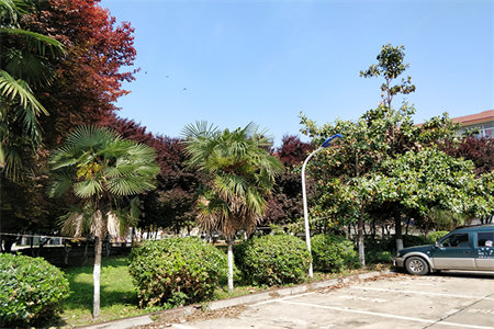 出售泰安封家园小区3室2厅1卫102平精装修